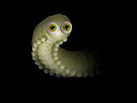 Cute Worm